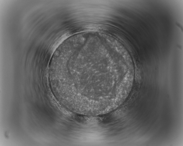 X0000103960899200810311611