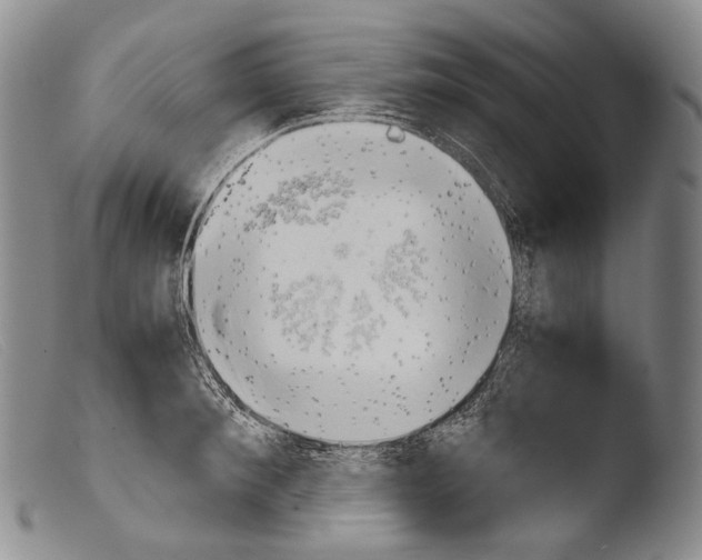 X0000103960900200810311611