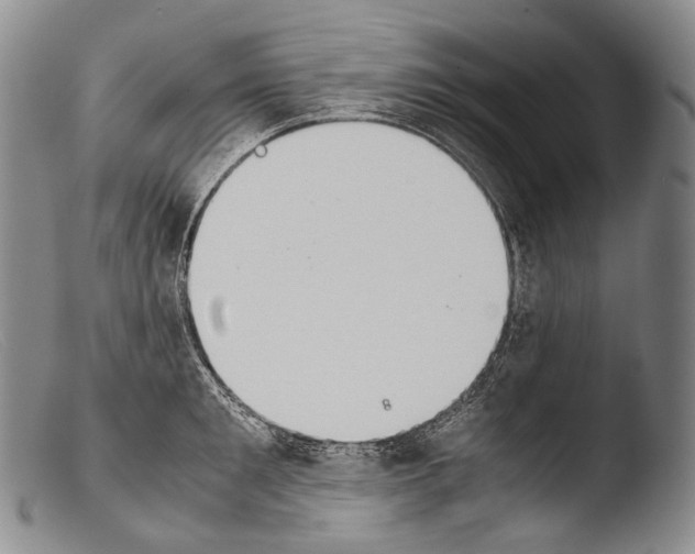 X0000103960901200810311611