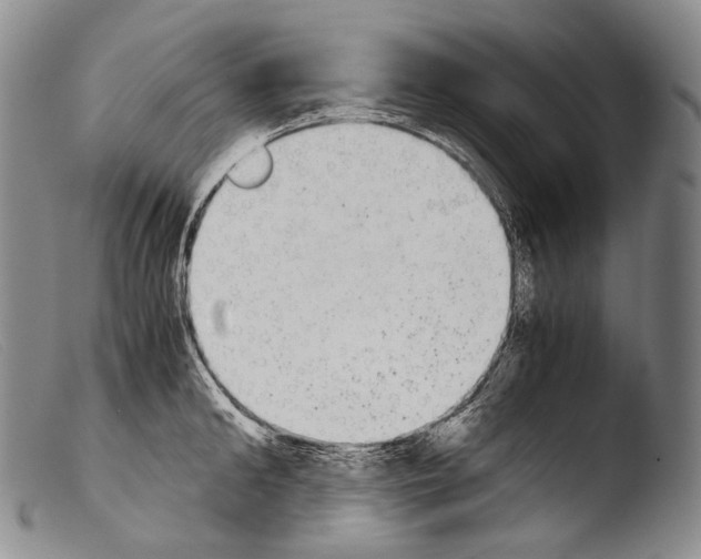 X0000103960902200810311611