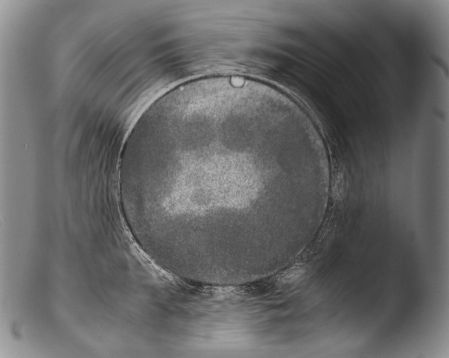 X0000103960903200810311611