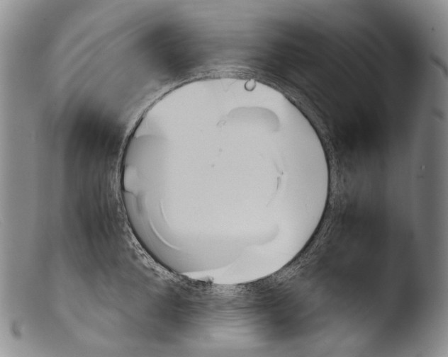 X0000103960904200810311611