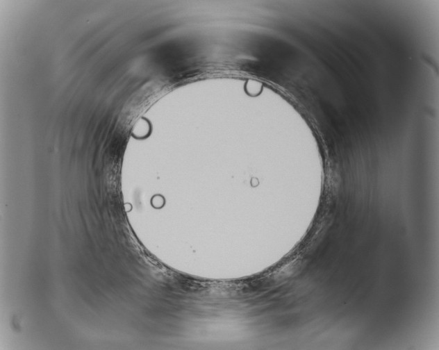 X0000103960905200810311611
