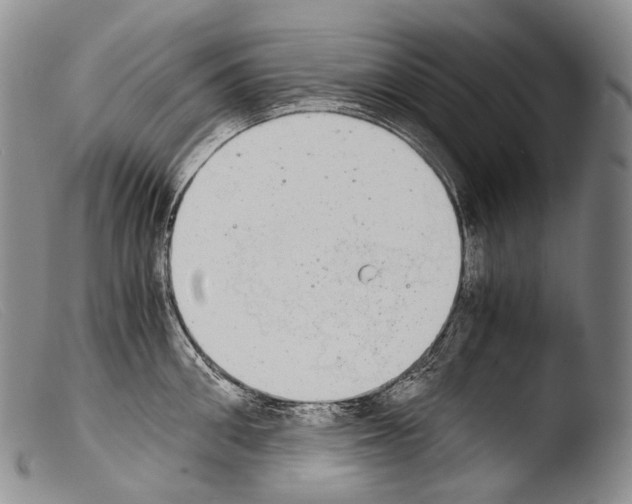 X0000103960906200810311611