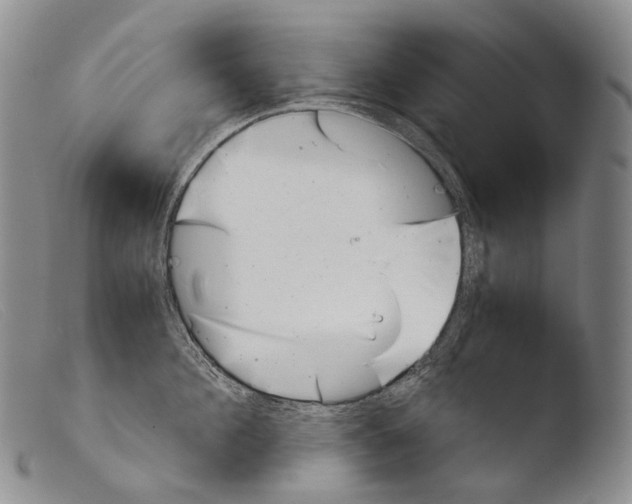 X0000103960908200810311611