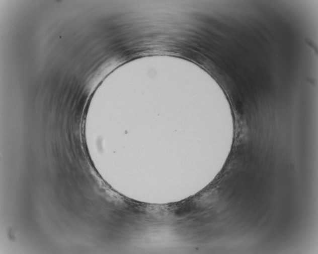 X0000103960909200810311611