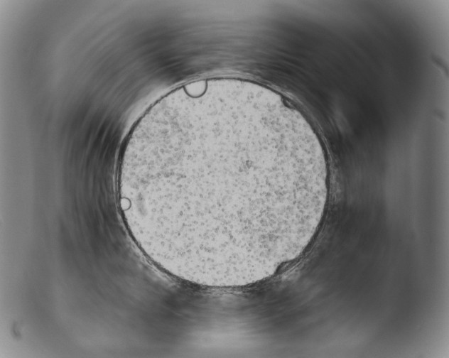X0000103960910200810311611