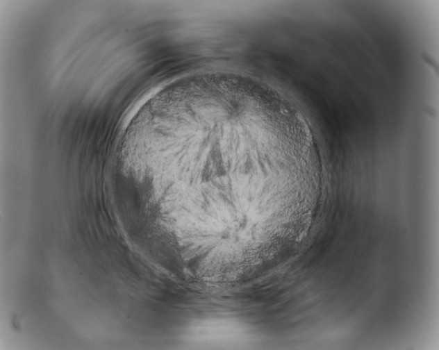 X0000103960911200810311611