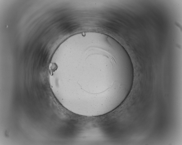 X0000103960912200810311611