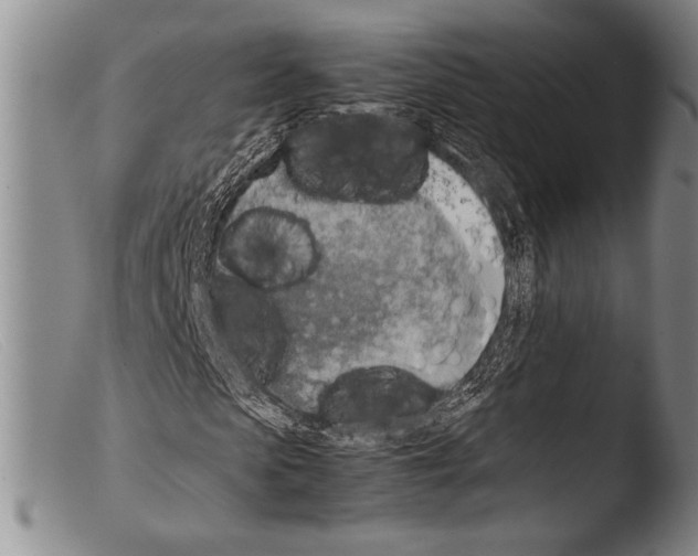 X0000103960913200810311610