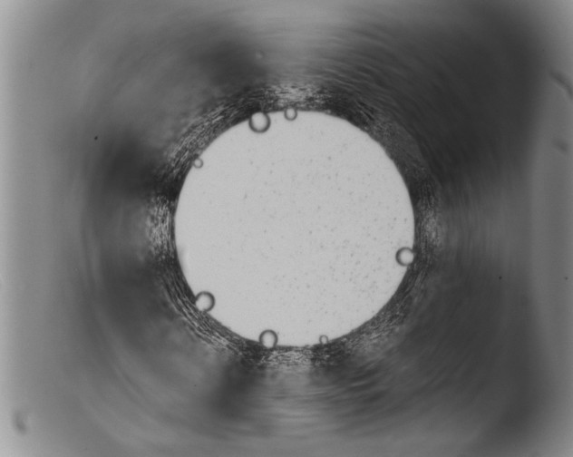 X0000103960914200810311610