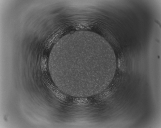 X0000103960915200810311610