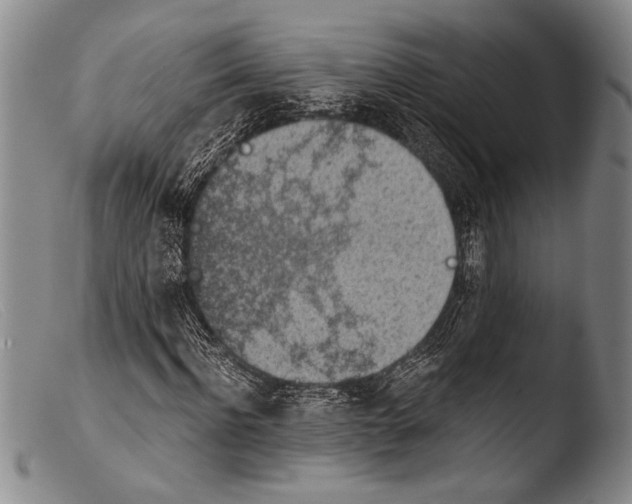 X0000103960916200810311610