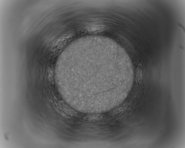 X0000103960917200810311610