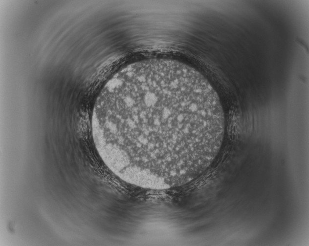 X0000103960918200810311610