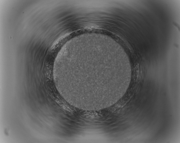 X0000103960919200810311610