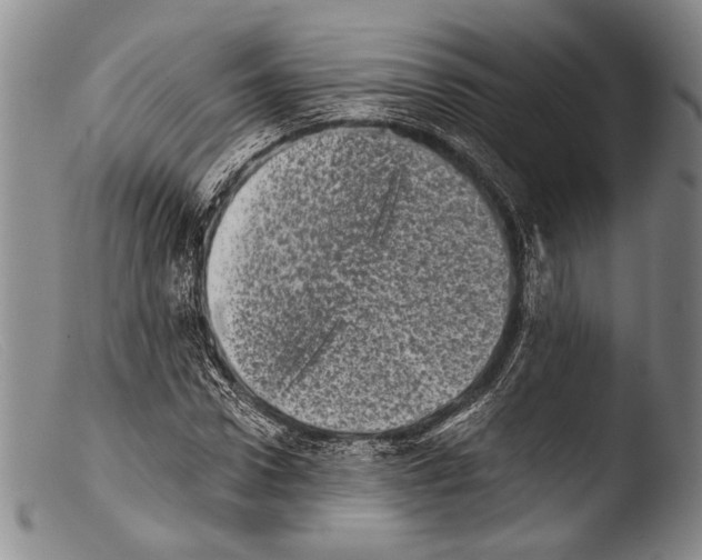 X0000103960922200810311610