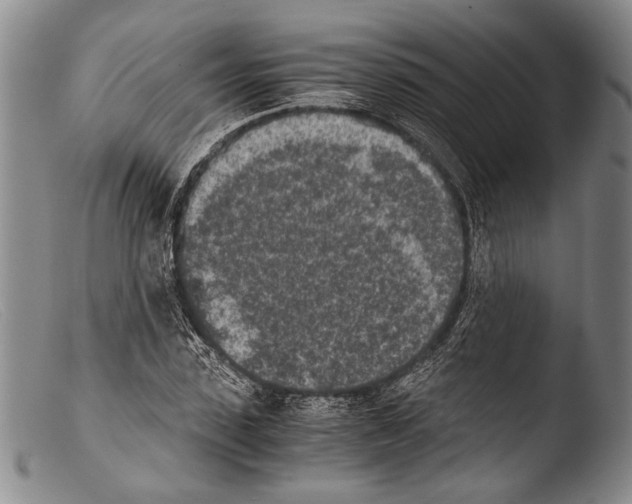 X0000103960923200810311610