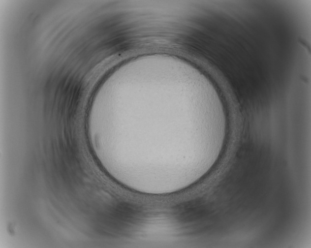 X0000103960924200810311610