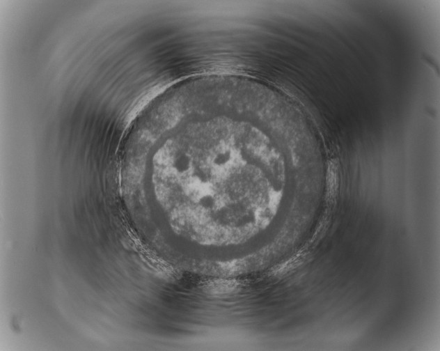 X0000103960925200810311610