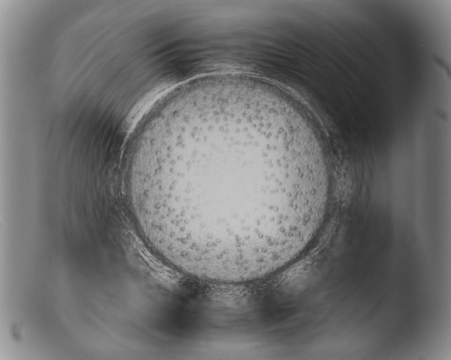 X0000103960927200810311610