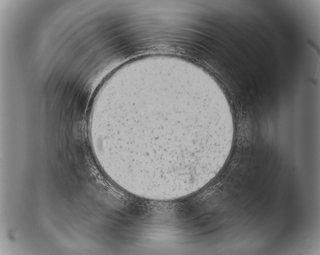 X0000103960928200810311611