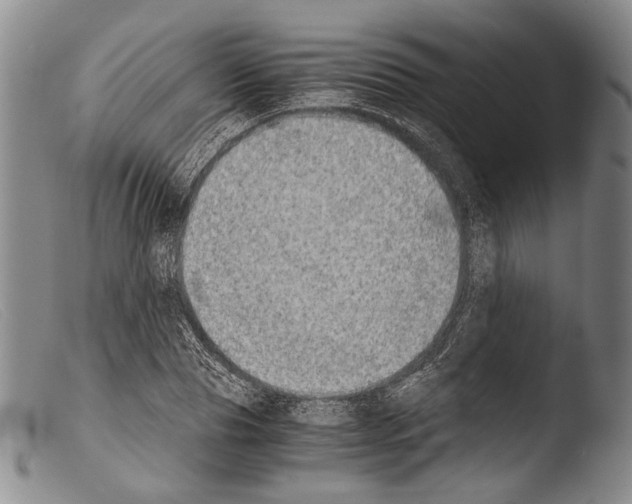 X0000103960929200810311611