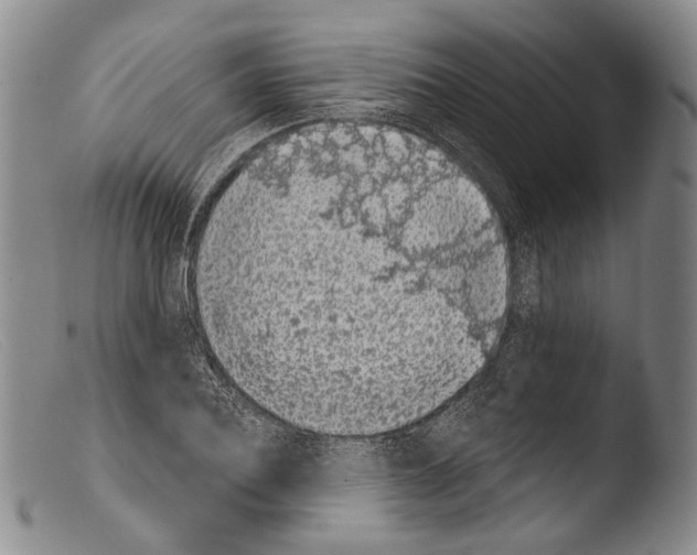 X0000103960932200810311611