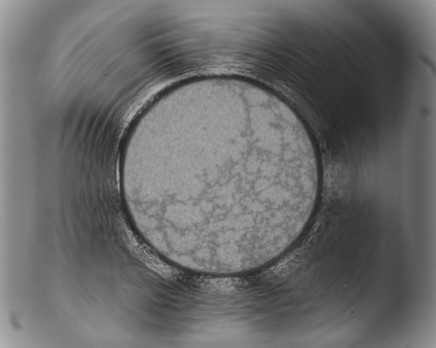 X0000103960934200810311611