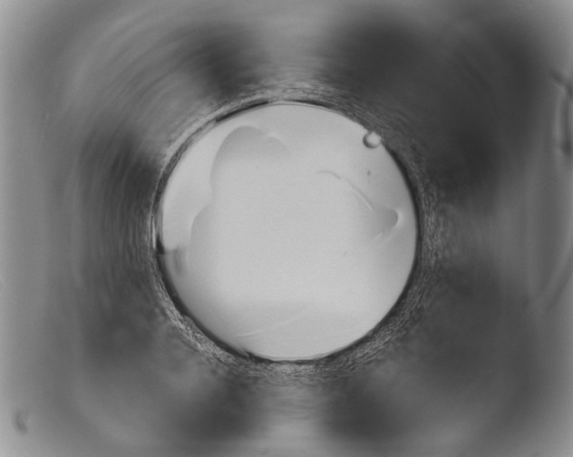 X0000103960936200810311611