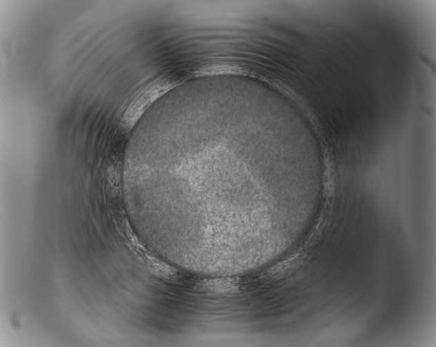 X0000103960937200810311611