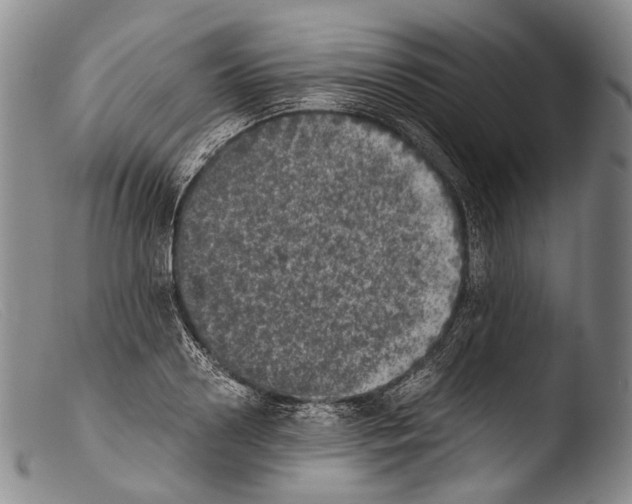 X0000103960938200810311611