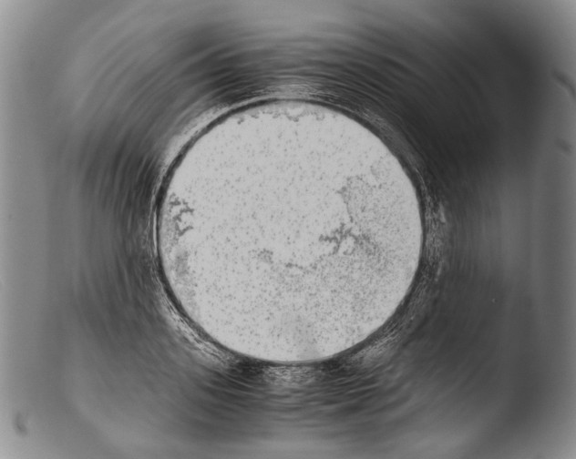X0000103960939200810311611
