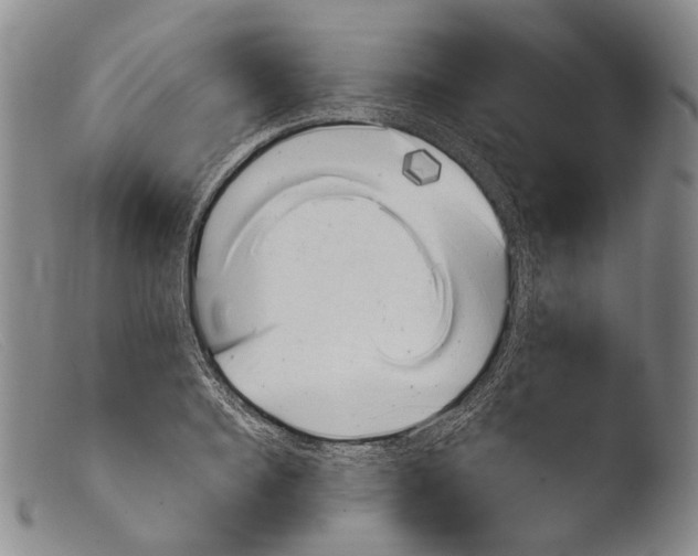 X0000103960940200810311611