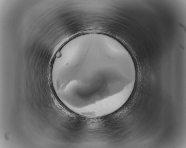 X0000103960941200810311611