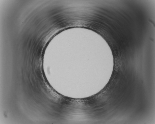 X0000103960942200810311611