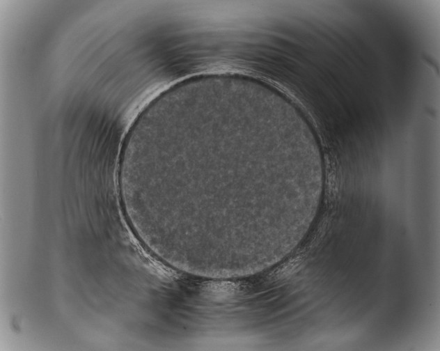 X0000103960943200810311611