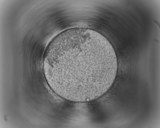 X0000103960944200810311611