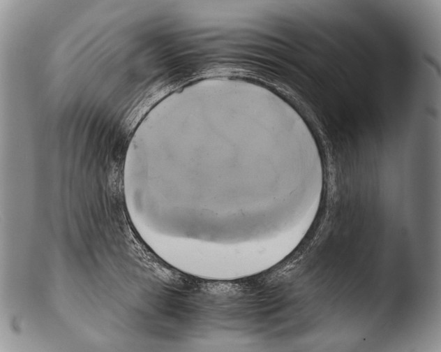 X0000103960945200810311611