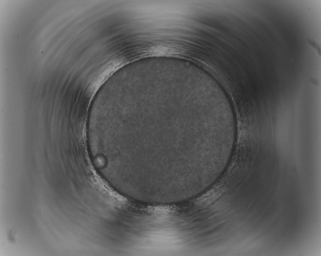 X0000103960946200810311611