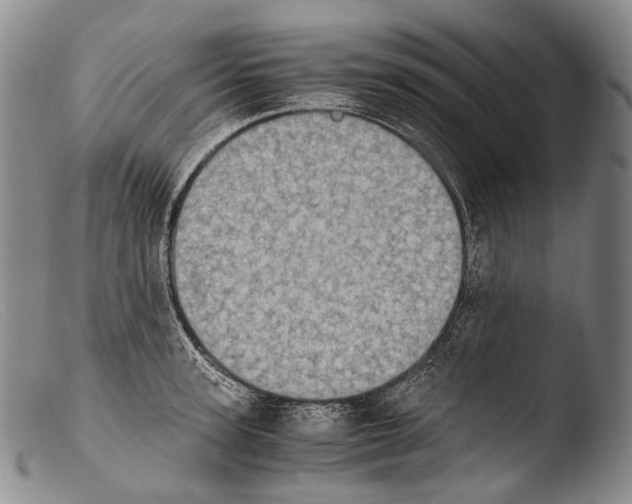 X0000103960947200810311611