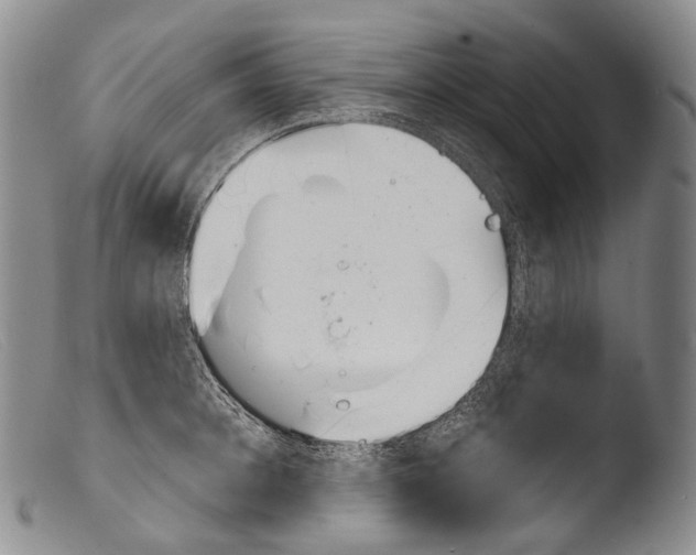 X0000103960948200810311611