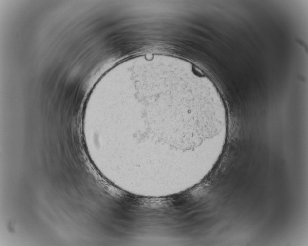 X0000103960949200810311611