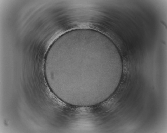 X0000103960950200810311611