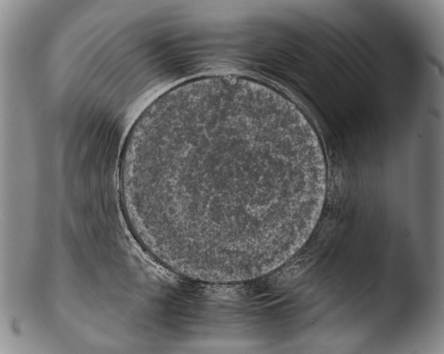 X0000103960951200810311611