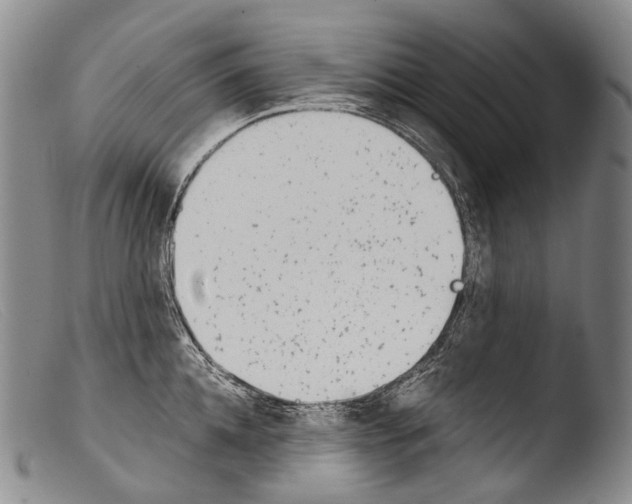 X0000103960952200810311611