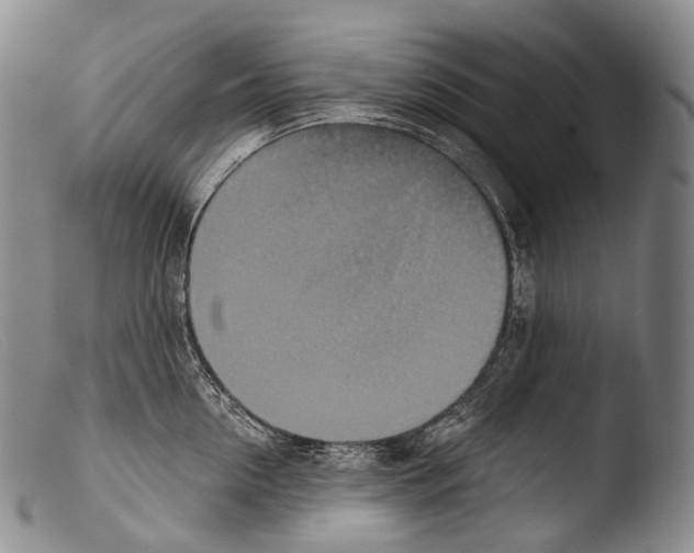 X0000103960954200810311611