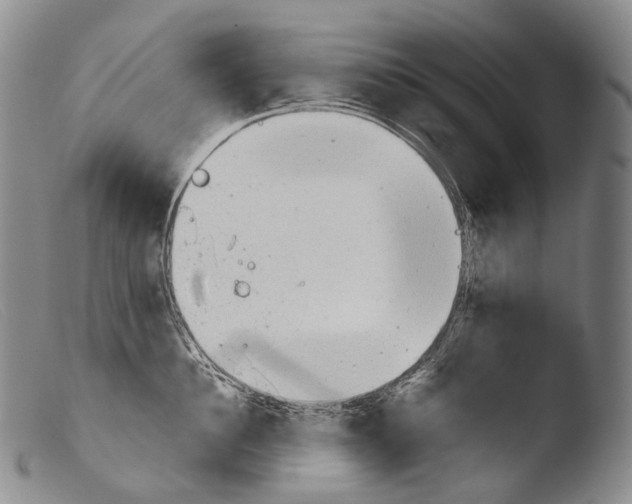 X0000103960956200810311611