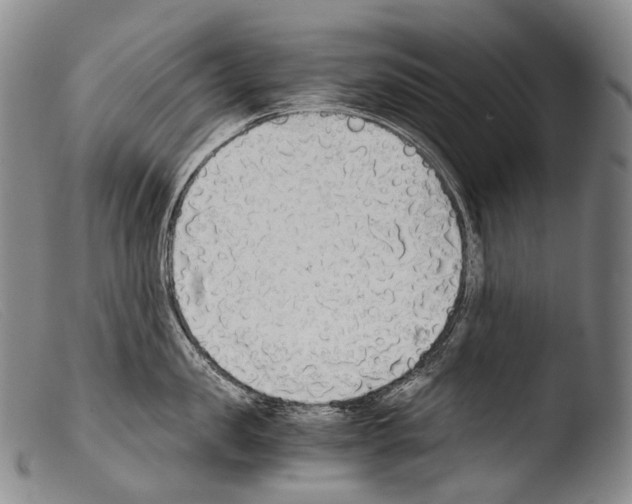 X0000103960957200810311611