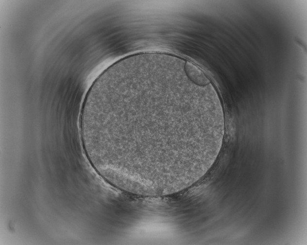 X0000103960959200810311611